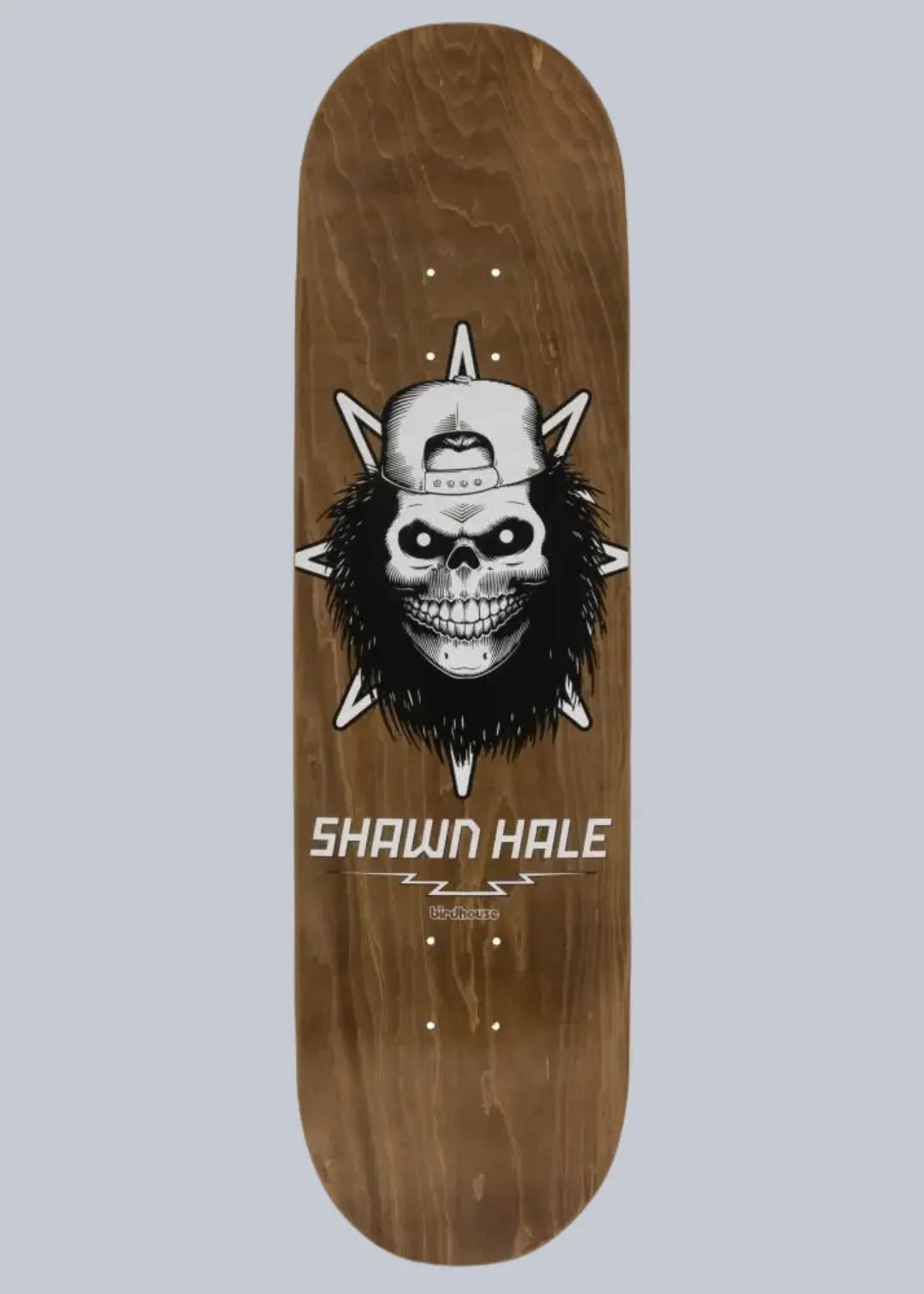 Birdhouse Skateboards Hale Skull Brown deck 8.5