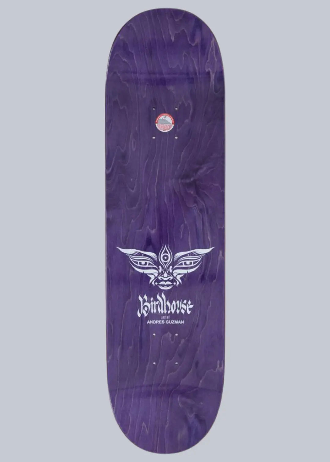Birdhouse Pro Deck Hale Entities Multi 8.75