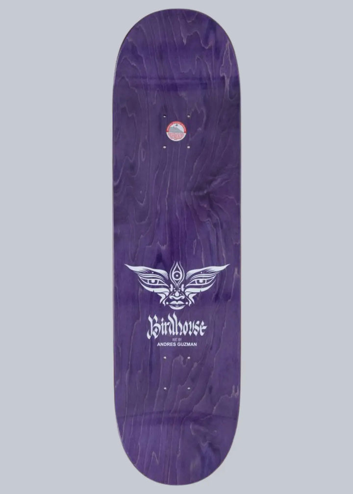 Birdhouse Pro Deck Hale Entities Multi 8.75