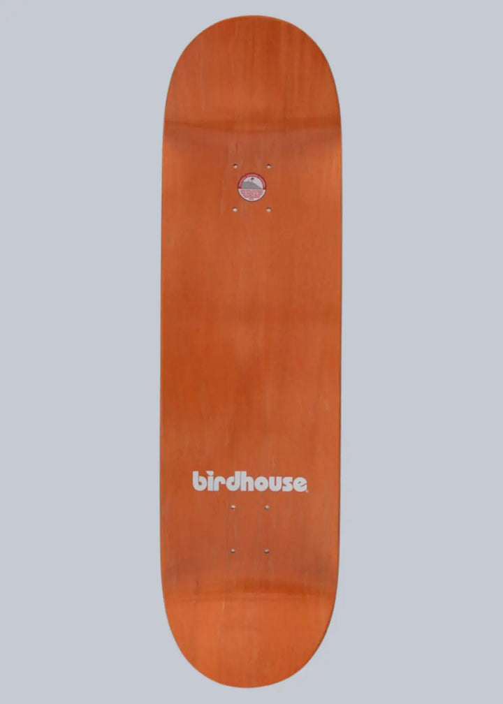 Birdhouse Pro Deck Sloan Todaro Multi 8.75